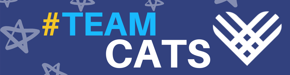 Giving Tuesday Cats